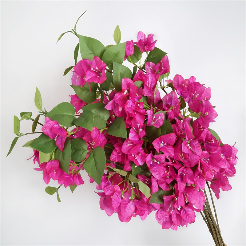 71e1nkPs7GL._AC_SL1500_